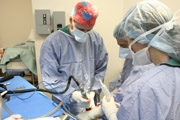 In recent studies, researchers have taken the lab-grown cartilage and molded into new knees and hips for dogs.