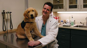 Veterinarian Jimi Cook and Vegas. Photo by: Josh Nichols. 