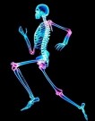 Bone health In a new study, MU researchers found that weight-bearing exercise, in this case, fast walking or jogging, did not prevent the increased bone turnover caused by weight loss.