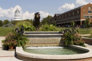 tiger grad The University of Missouri will award more than 5,500 degrees to graduates during the Spring commencement ceremonies.