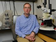 Chris Lorson and his team developed a molecule that was found to be highly effective in animal models exhibiting SMA. Now, testing of that compound has led to the founding of a new company, Shift Pharmaceuticals. Credit: Roger Meissen, Bond Life Sciences Center.