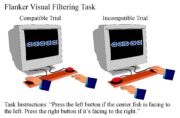 Researchers presented 80 adolescents, ages 11 to 20, with a visual filtering task. Participants were asked to respond as quickly as possible to a visual target while ignoring visual distractions close to the target’s location. Of the 80 participants in the study, 36 had autism.  Photo credit: Shawn Christ