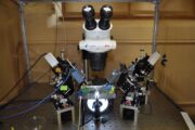 Scientists at the University of Missouri used this microscope to discover that a neuron’s own electrical signal, or voltage, can indicate whether the neuron is functioning normally. If that voltage is absent, scientists say everything is “out of whack.”