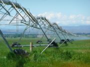 An example of an irrigation system used to keep crops healthy.