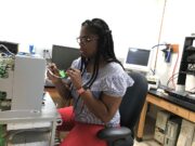 Patricka Williams-Simon, a doctoral fellow in biological sciences at MU who led the study, places  fruit flies into a box to study how well they learn and remember. She and the team discovered some fruit flies learn better than others. 